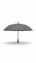 Graphite Gray Umbrella